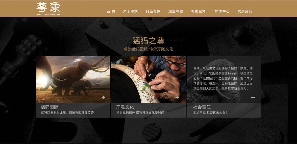 深圳網站設計公司