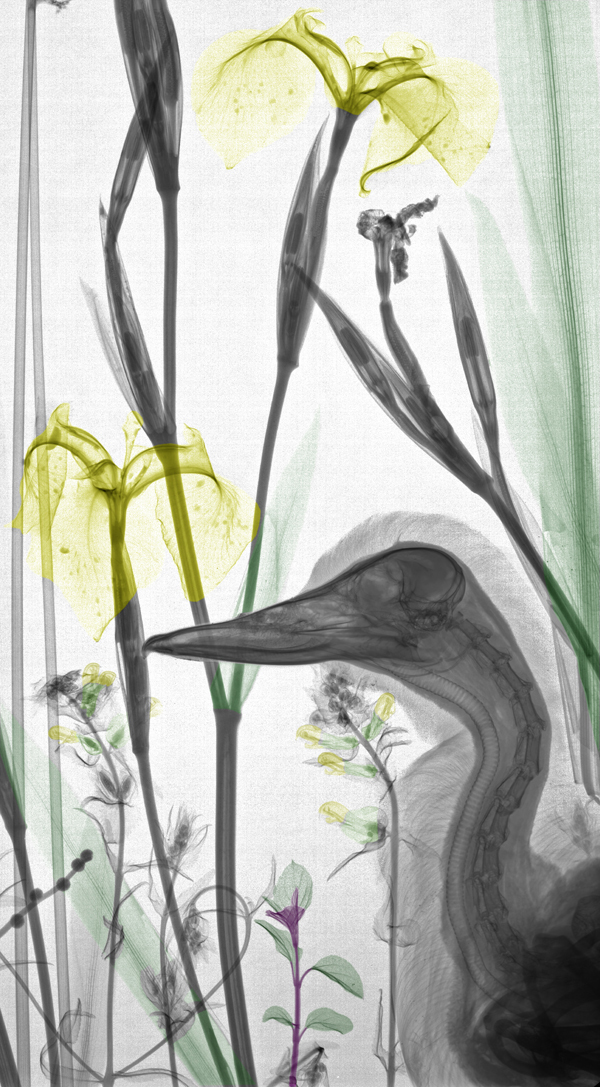 深圳產品場景攝影